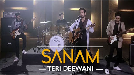 Teri Deewani Lyrics by Sanam Puri