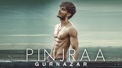 Pinjra Lyrics by Gurnazar